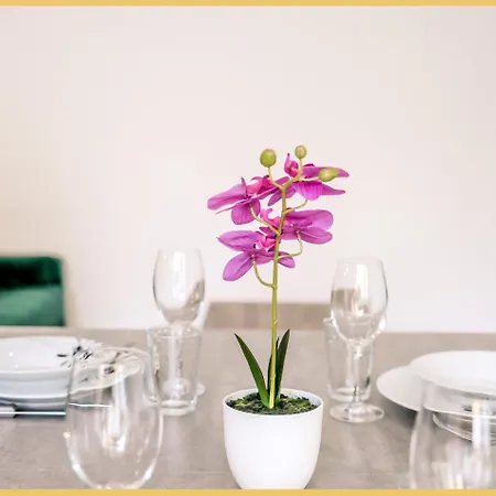 Chez Vincent I T3 I * Thonon-les-Bains